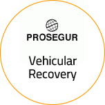 Vehicular Recovery